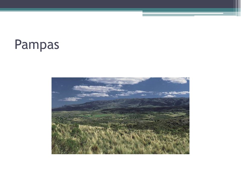 Pampas